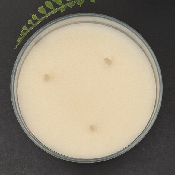 BBW Fresh Cut Lilacs Bath & Body Works 3 Wick Candle - Picture 7 of 10